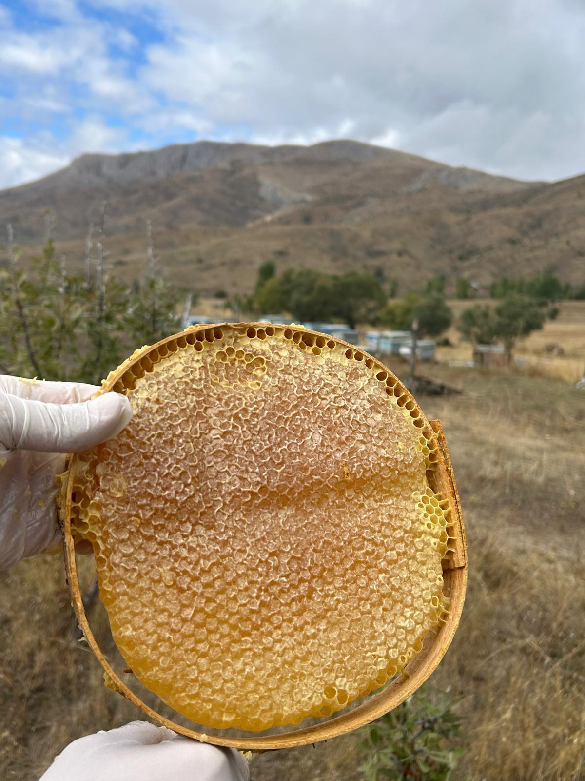 (2.6-2,9KG)SARI KARAKOVAN BAL